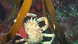 2011-06-15 16-58-55 UK_16